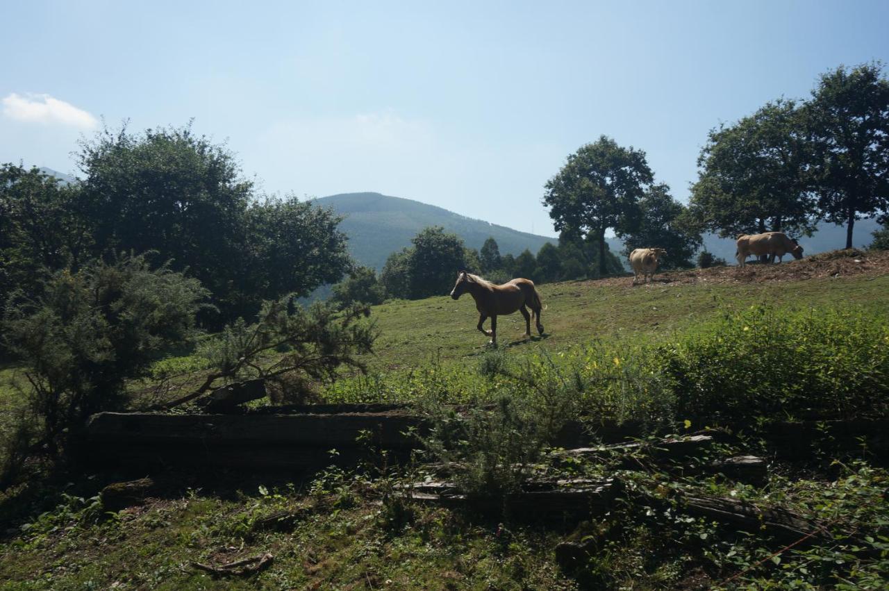 Pazo De Terrafeita Ξενοδοχείο Trabada Εξωτερικό φωτογραφία
